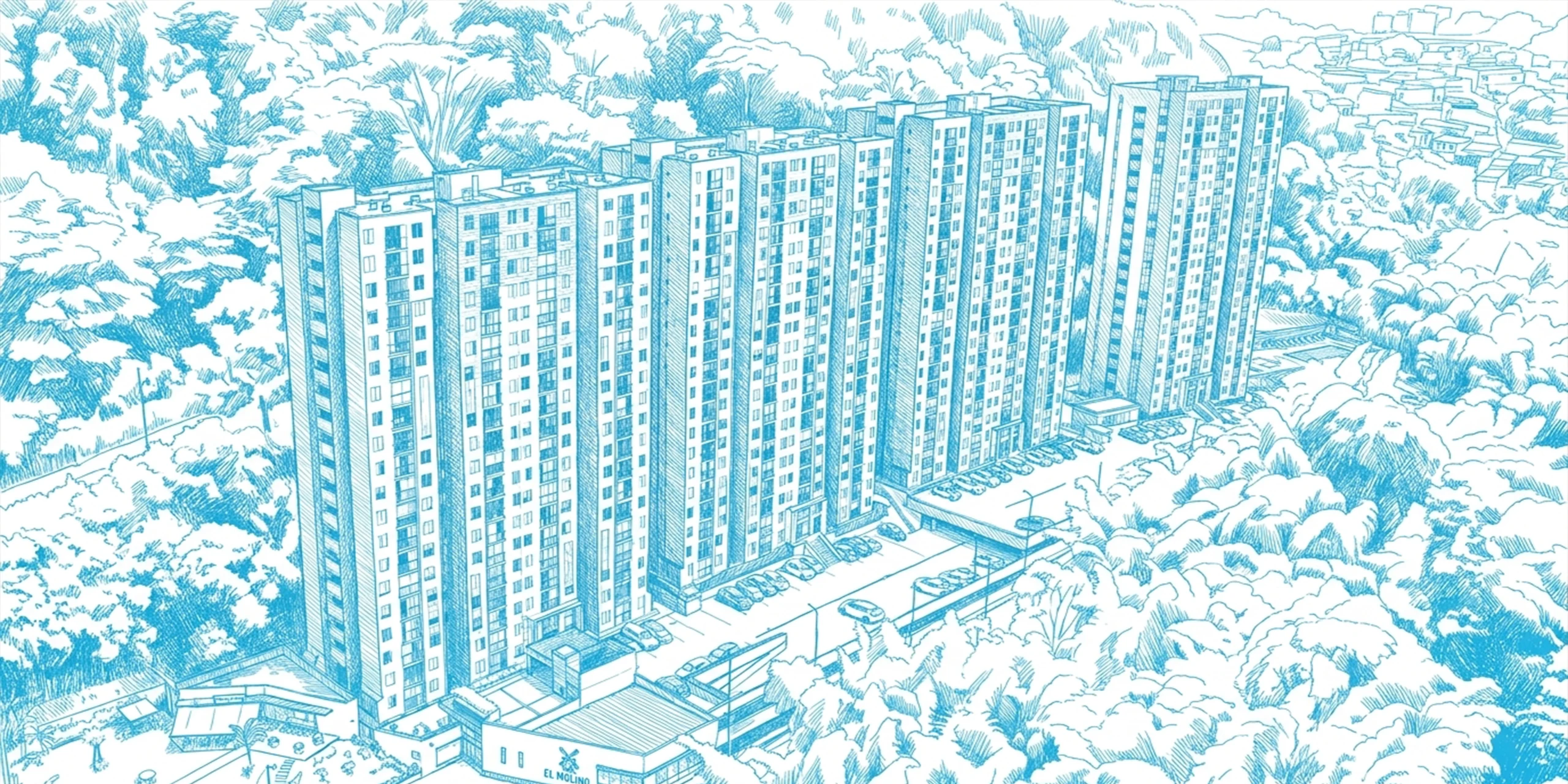 Guadua sketch
