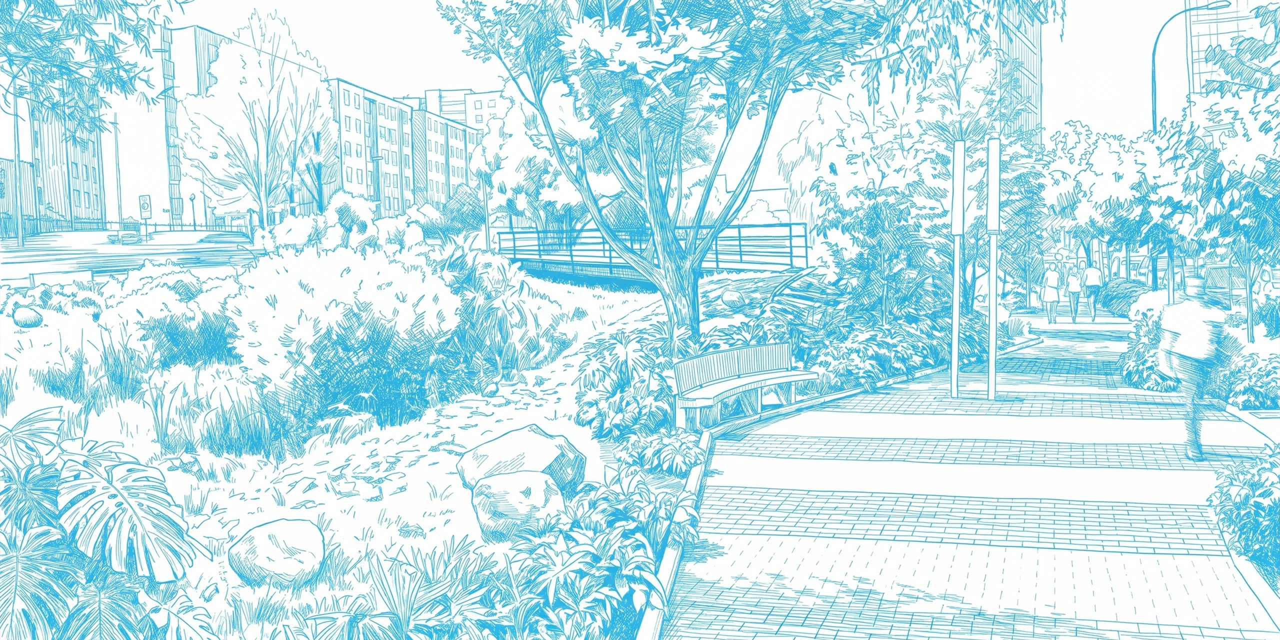 Maiporé sketch