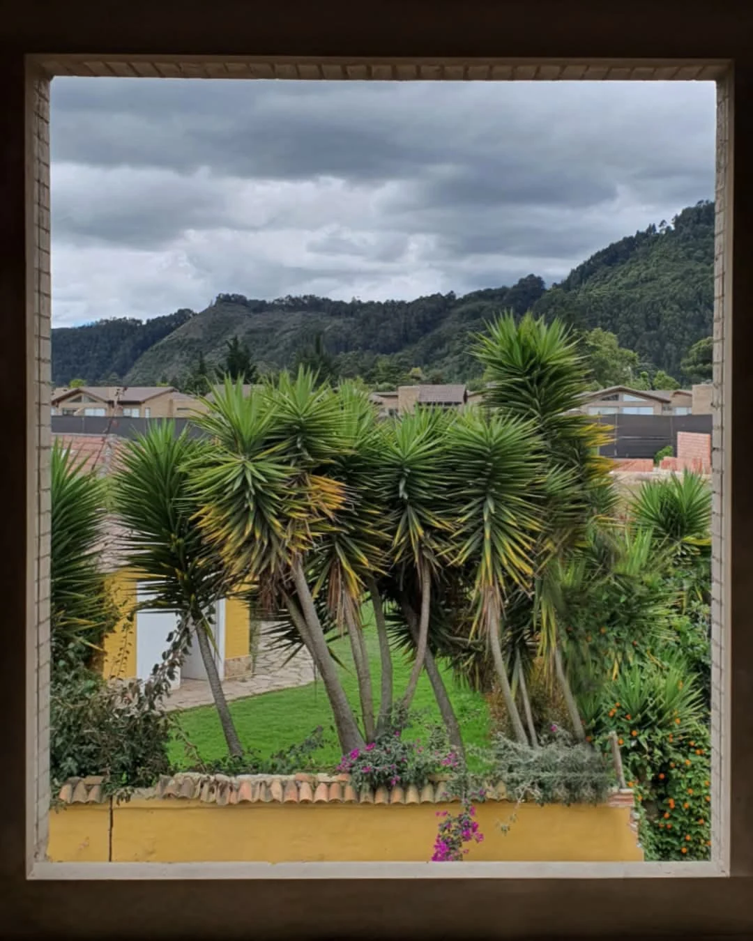 Desde el interior de una casa, la ventana enmarca el jardín y los cerros de la Sabana: el paisaje se incorpora al proyecto como una pieza más.